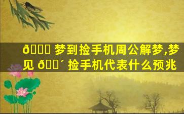 🐒 梦到捡手机周公解梦,梦见 🌴 捡手机代表什么预兆